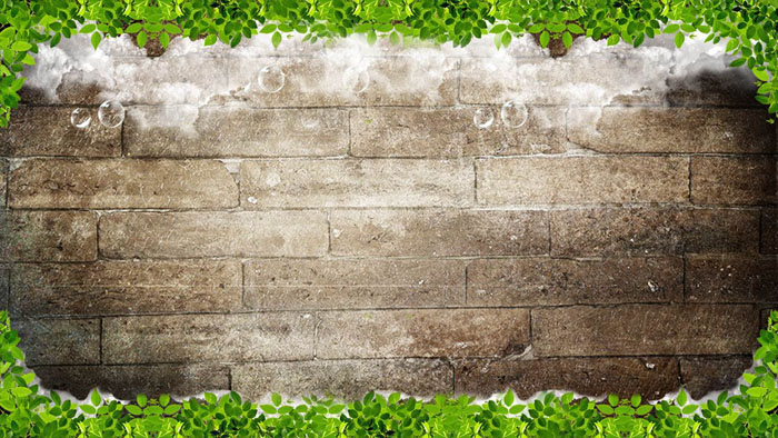 砖墙与绿叶PPT背景图片
