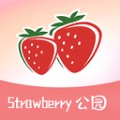 草莓公园安卓版